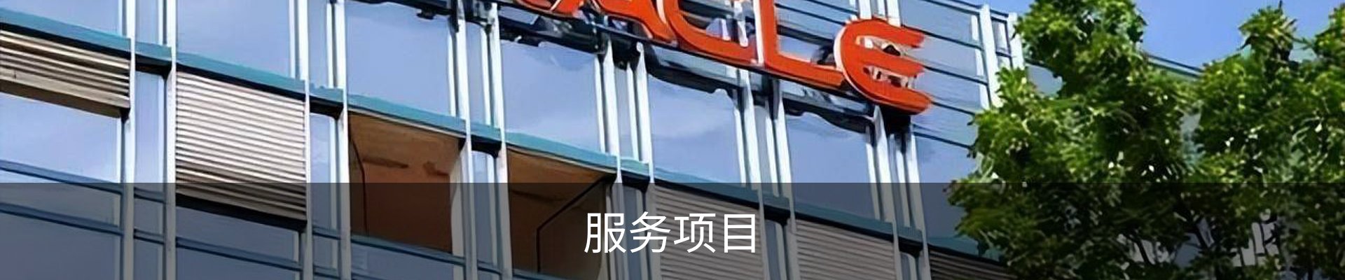服务项目
